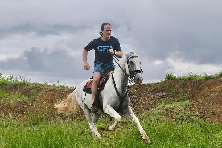 Horseback Riding Beach & Jungle - Photo 1 of 6